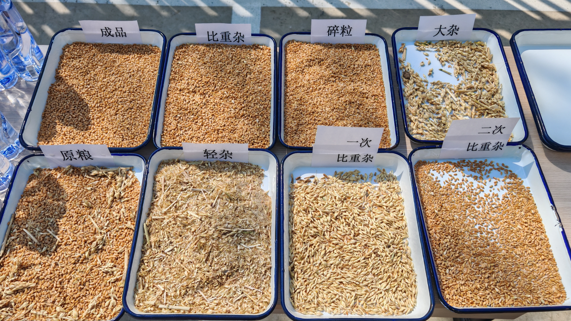 1775203441720399.png lQLPJx9HCjGwTTHNAovNBIWwnuLakDFq49MJpi8ziqomAA_1157_651.png